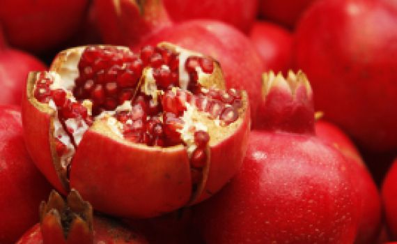 סימני ראש השנה: זהירות, הם עלולים להכיל חרקים