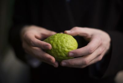 הראי"ה קוק הזהיר מהימים שבין יום כיפור לסוכות