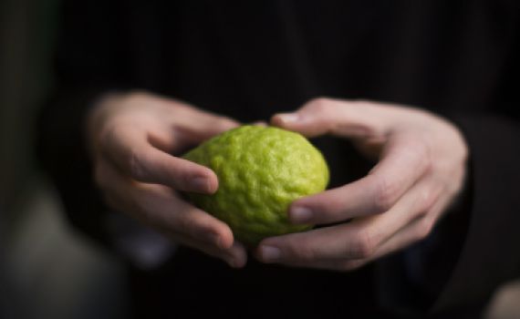 הראי"ה קוק הזהיר מהימים שבין יום כיפור לסוכות