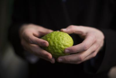 הראי"ה קוק הזהיר מהימים שבין יום כיפור לסוכות