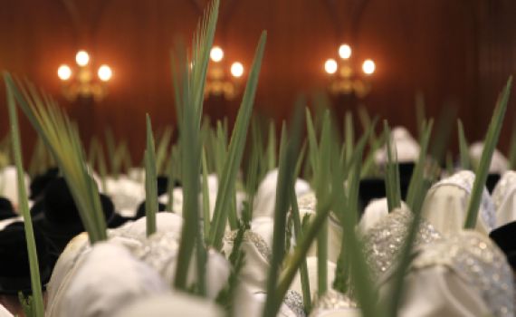 יבוא הלולבים ממצרים הופסק; חשש לעליית מחירים