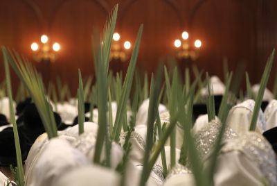 יבוא הלולבים ממצרים הופסק; חשש לעליית מחירים