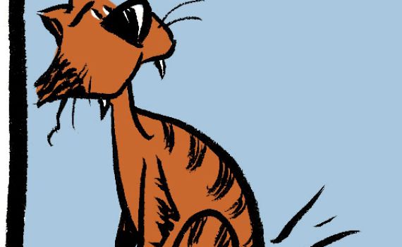 קריקטורה לכבוד שבת: פרשת כי תבוא