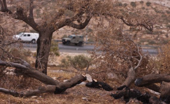 השקר של השמאל נחשף: כתב אישום אחד בשבע שנים