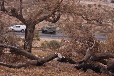 השקר של השמאל נחשף: כתב אישום אחד בשבע שנים