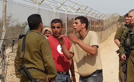 זעם באיתמר: פלסטינים מוסקים זיתים ליד בית פוגל