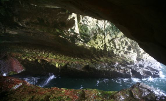 וחושך על פני תהום