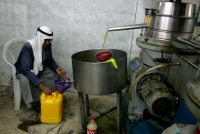 לקראת חנוכה: זהירות מבעיות כשרות בשמן זית