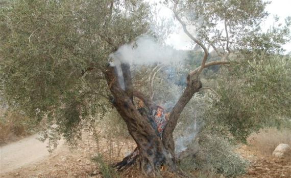 חשד ל'תג מחיר' פלסטיני בגוש טלמונים