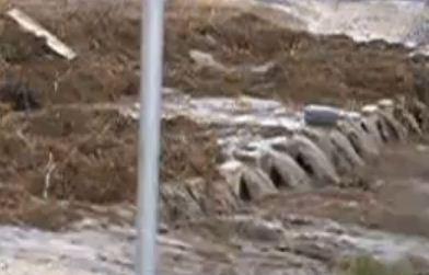 לא דבר שרואים כל יום: שטפון בנחל חרוד