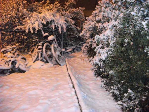 יומן בחירות: המערכת בשיאה, הבחירות קפאו
