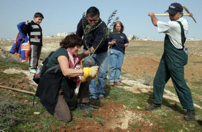 חג השרשים: בין ט"ו בשבט לכוכבית גיור