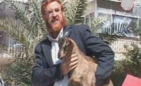 ביקשו להקריב קרבן פסח ונשפטו ל50 שעות עבודות שירות