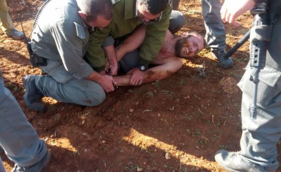 בלאגן באש קודש: מג"ב פועל באלימות נגד המתיישבים