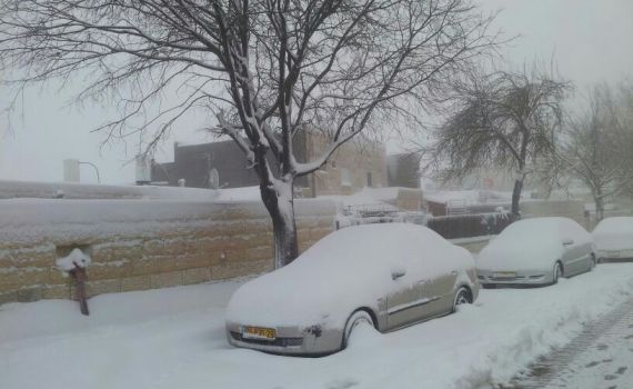 שלג בהרי יהודה: תמונות וסיפור על לידה מושלגת