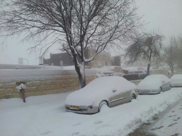 שלג בהרי יהודה: תמונות וסיפור על לידה מושלגת