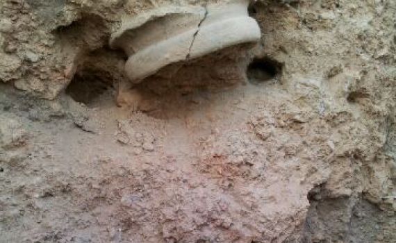 הפרק החסר בתנ"ך: כך נחרבה שילה?