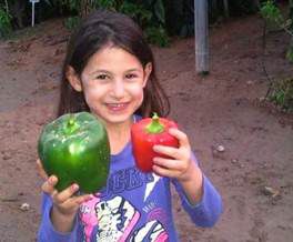 ארץ ישראל נותנת פירותיה בעין יפה: פלפל במשקל חצי קילו