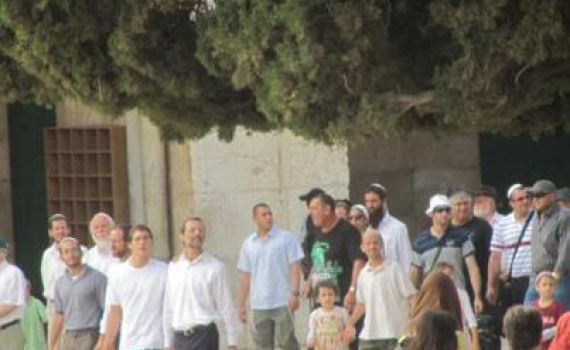 בדרך לכנסת יתפלל פייגלין בהר הבית להצלחתו