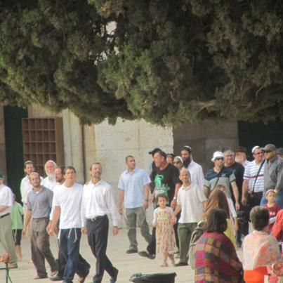 בדרך לכנסת יתפלל פייגלין בהר הבית להצלחתו