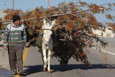 פרשת משפטים: לעשות חסד חסד גם עם השונא