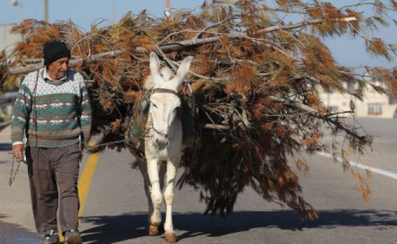 פרשת משפטים: לעשות חסד חסד גם עם השונא