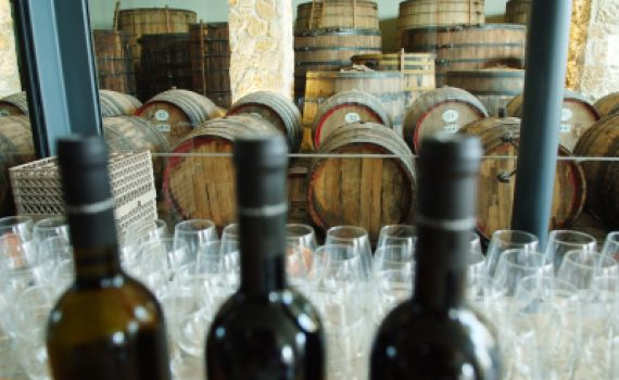 היענות עצומה לרכישת היין של צביקי סטרוק