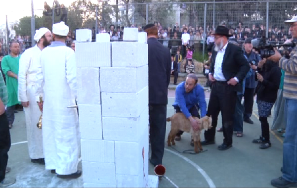 תנועות המקדש מבקשות לקיים תרגול לקרבן הפסח