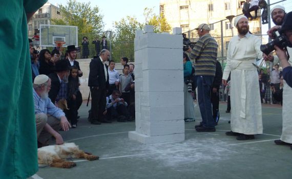 בית המשפט: לאפשר מעמד תירגול והכנה לקרבן פסח
