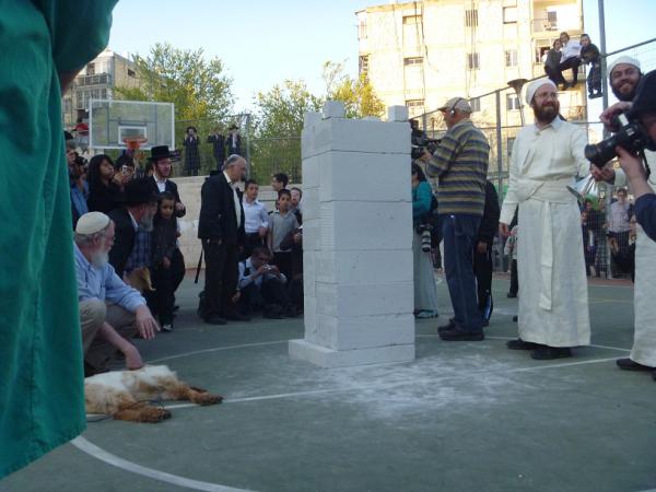 בית המשפט: לאפשר מעמד תירגול והכנה לקרבן פסח