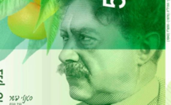 שטרות רק של אשכנזיים: איך אתם הייתם מגיבים?