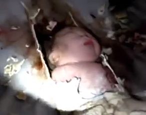 סיפור מסריח: תינוק בן יומו נמצא בצינור ביוב