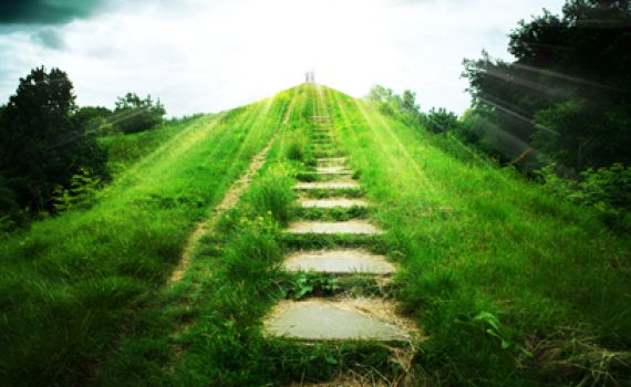 למכירה: גן עדן מיוצא בשאלה ב-100,000 דולר