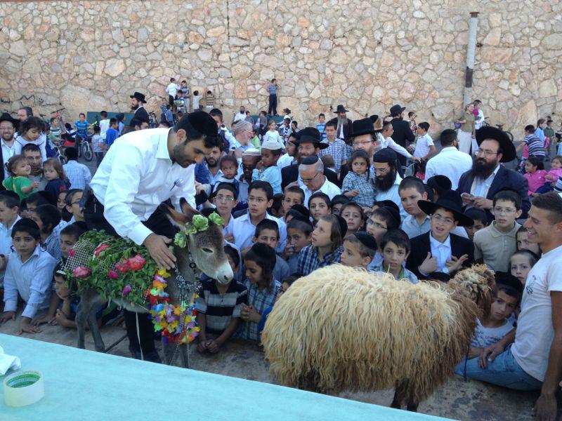 פדיון פטר חמור נערך בתל ציון