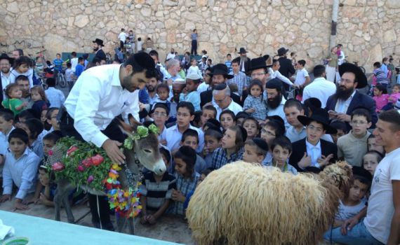 פדיון פטר חמור נערך בתל ציון