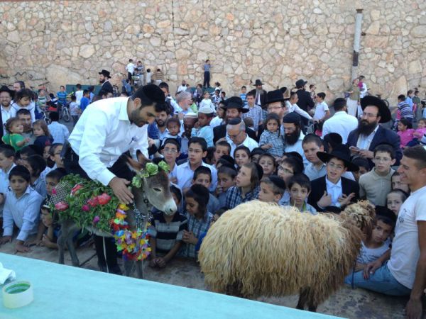 פדיון פטר חמור נערך בתל ציון