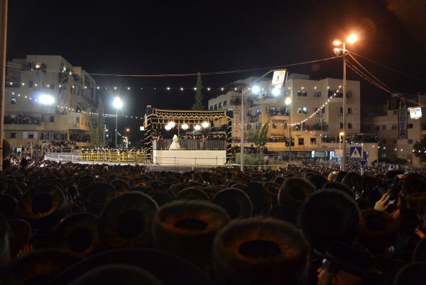 גלריית תמונות: חתונת נכדו של האדמו"ר מבעלזא