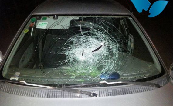 מול התגובה הרפה של צה"ל; טרור האבנים ביו"ש נמשך