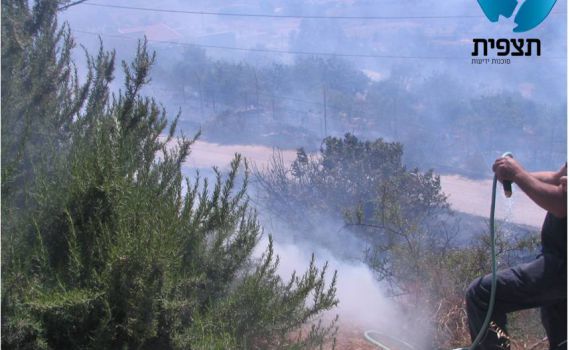 שריפה, אחים, שריפה