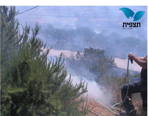 שריפה, אחים, שריפה