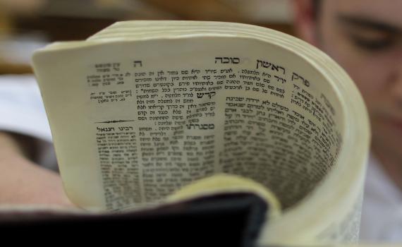 גולשי סרוגים לומדים את הדף היומי