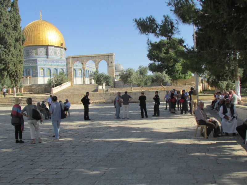 עליה המונית להר הבית, להזדהות עם פייגלין