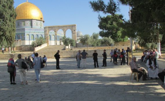 עליה המונית להר הבית, להזדהות עם פייגלין