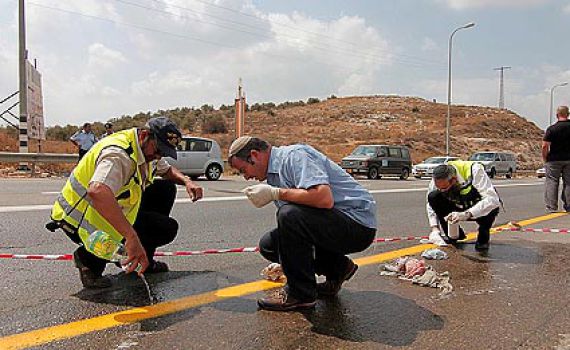 אכזריות בכביש: ברח משוטרים, דרס למוות ונעלם