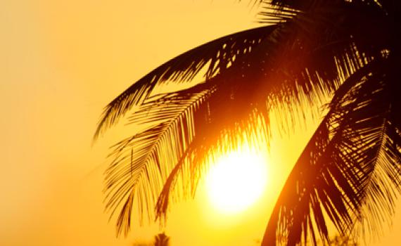 התראה מטאורולוגית ארוכה: תחזית מזג אוויר