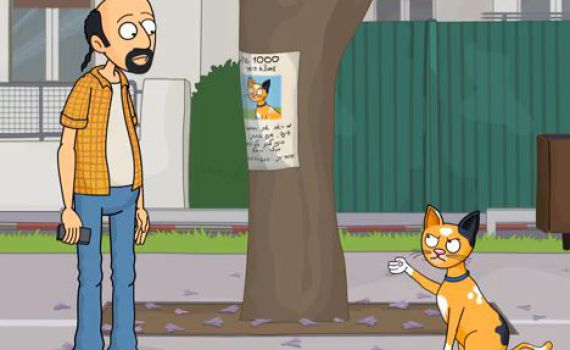 מצאתם חתול ברחוב? שימו לב לתנאים שלו