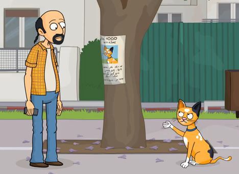 מצאתם חתול ברחוב? שימו לב לתנאים שלו