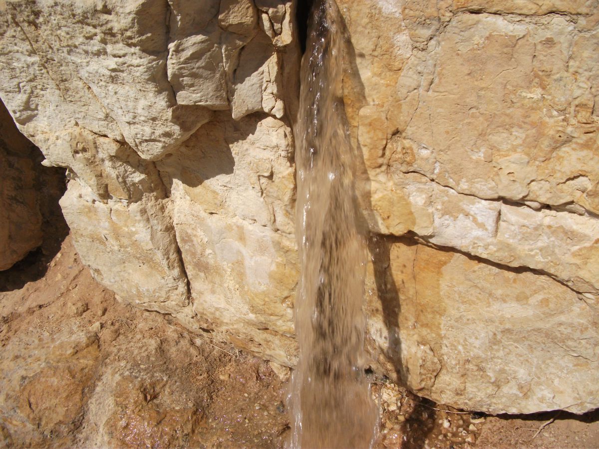 מנהיג נבחן במבחן התוצאה, תירוצים שיספר למישהו אחר