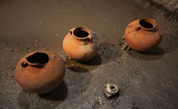 נחשפה עדות בת 2000 שנה לימי המצור בירושלים