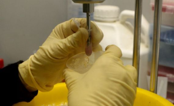 תעשיית ילדים יתומים: מה עם טובת הילד?